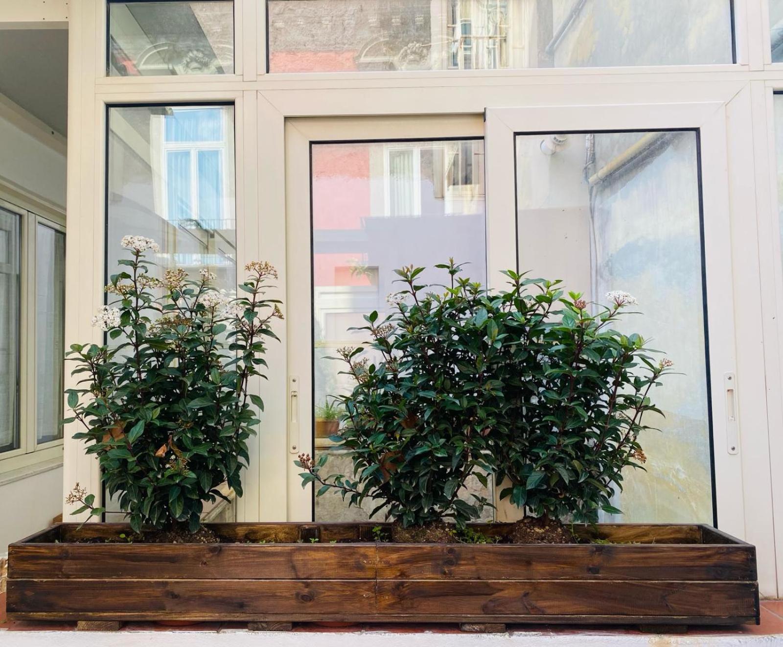 La Casa Di Apollo Apartment Napoli Exterior foto